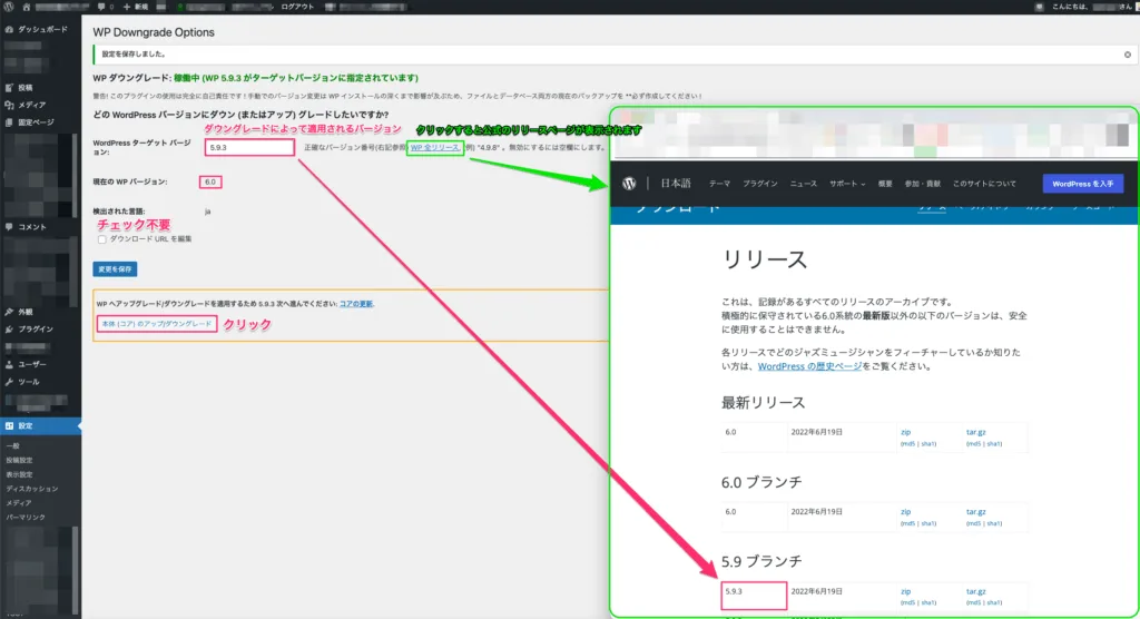 WP Downgrade Option画面